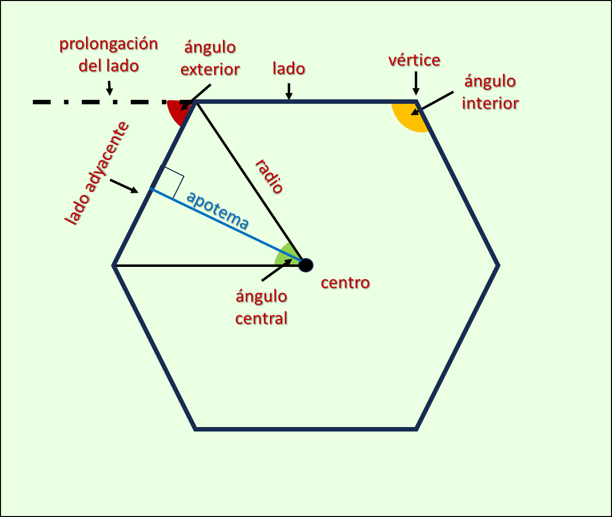 Ángulos externos, radio.