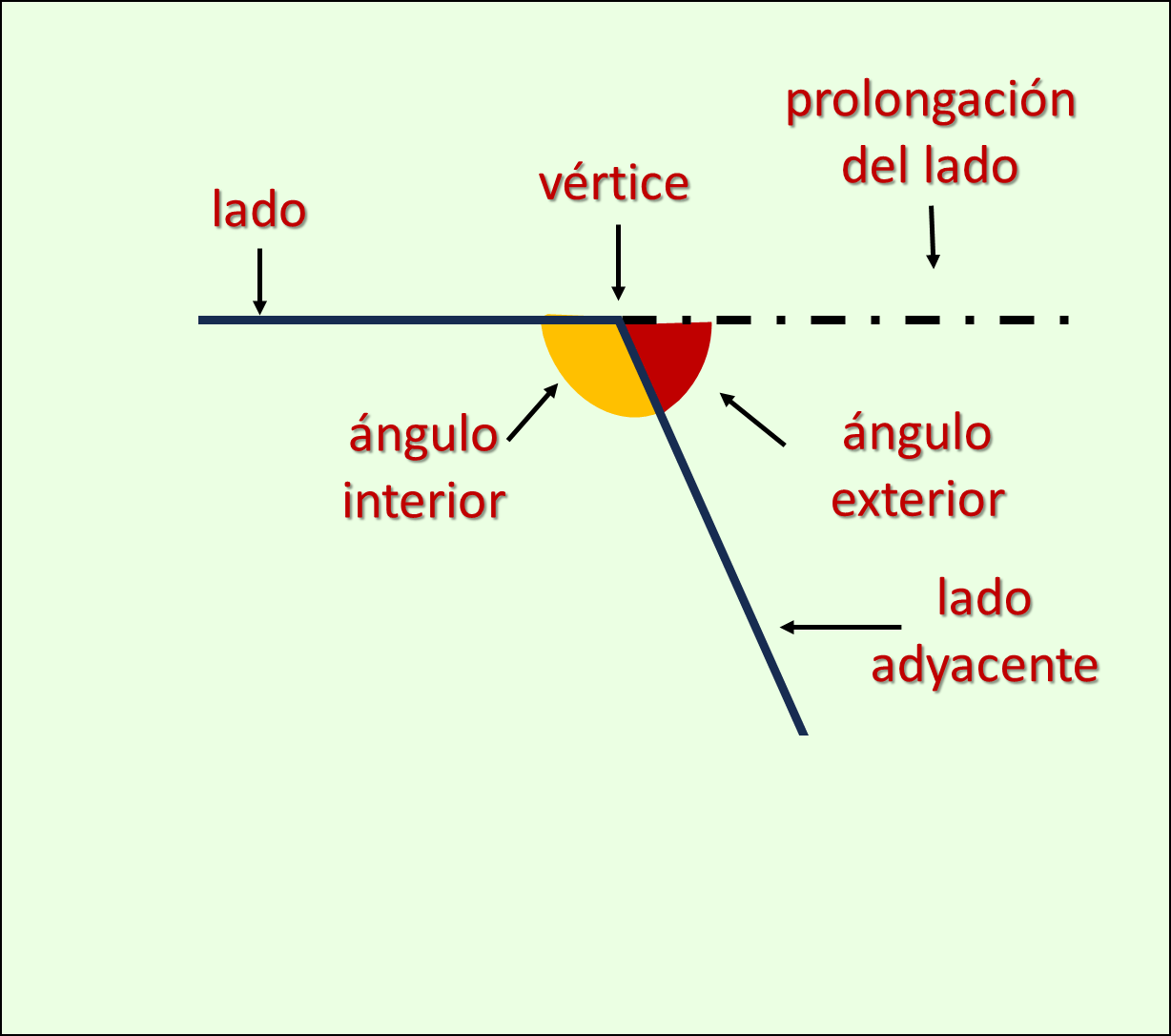 Vértices,lados y ángulos del polígono.