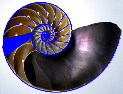 Gnomon de paso 2pi/16 Gnomon de paso 2pi/16