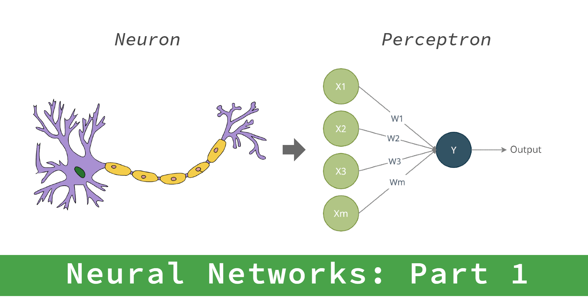 Perceptron