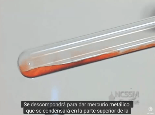 Jeringa de plástico nueva jeringa de 6.8 fl oz jeringa grande de plástico  transparente de medición de nutrientes reutilizable laboratorio cocina